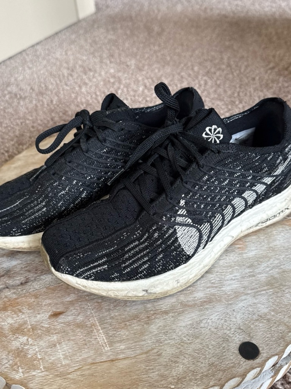 Nike Pegasus Turbo Next Nature